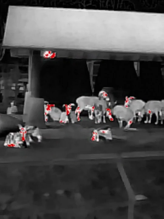 모버2S 야간투시 전용 모드 촬영 이미지